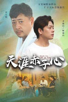 天涯赤子心 短剧版海报